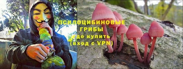 гидра Нягань