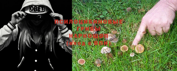 mdpv Няндома