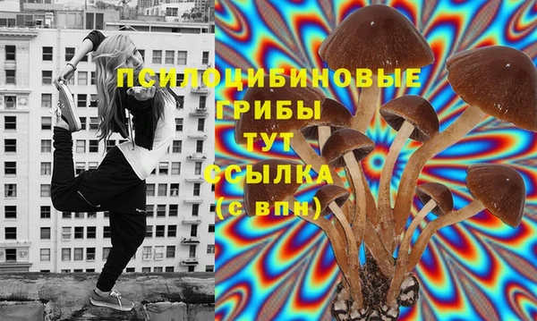 mdpv Няндома